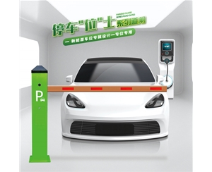 潍城RG-CW系列车位小道闸